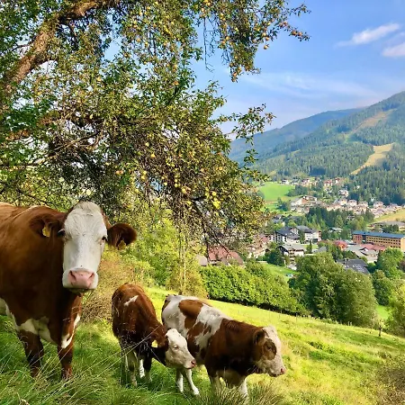 Appartement Feichterhof Bad Kleinkirchheim