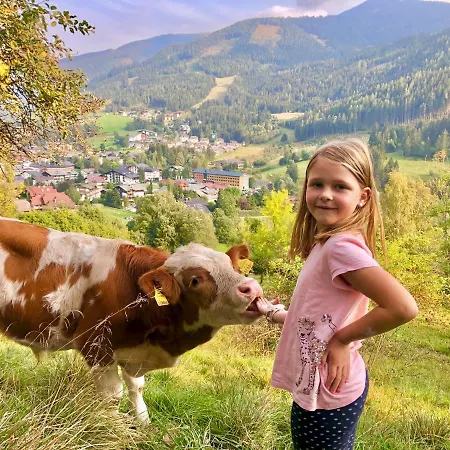 Appartement Feichterhof