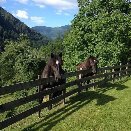 Feichterhof Appartamento Bad Kleinkirchheim