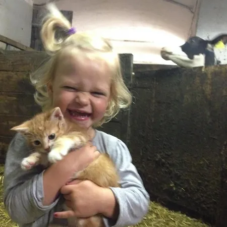 Feichterhof Appartement