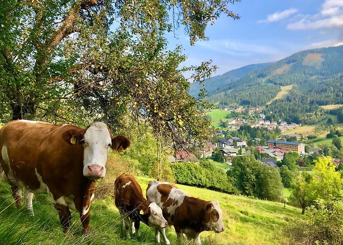 Apartamento Feichterhof Bad Kleinkirchheim