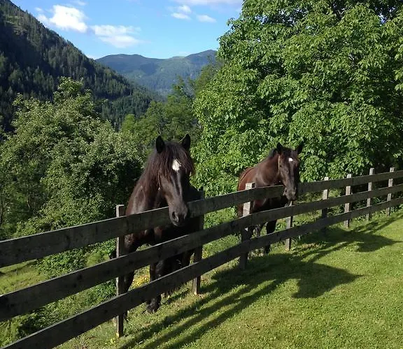 Feichterhof Apartamento Bad Kleinkirchheim