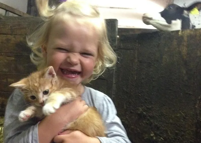 Feichterhof Apartamento