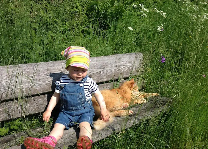 Feichterhof Apartamento Bad Kleinkirchheim